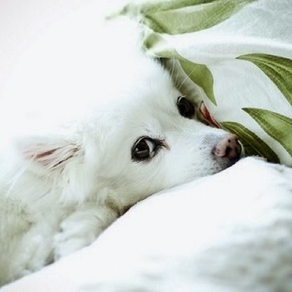 Meet your Posher, Richa - Picture 1 of 1